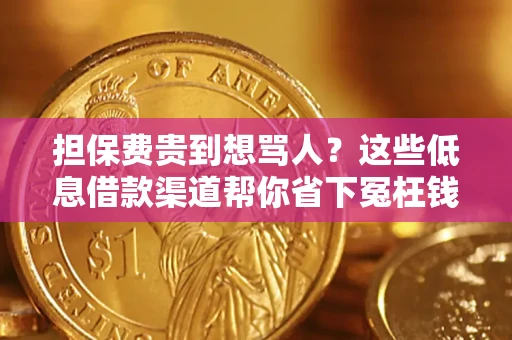 济南担保费贵到想骂人？这些低息借款渠道帮你省下冤枉钱