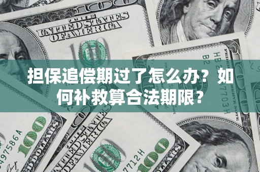 济南担保追偿期过了怎么办？如何补救算合法期限？