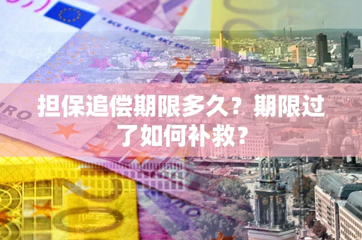 济南担保追偿期限多久？期限过了如何补救？