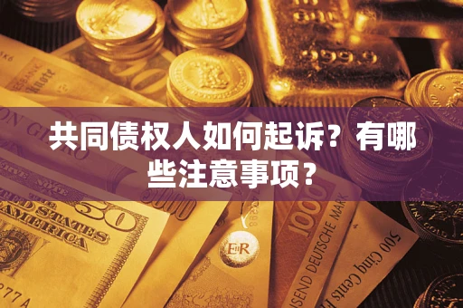 济南共同债权人如何起诉？有哪些注意事项？